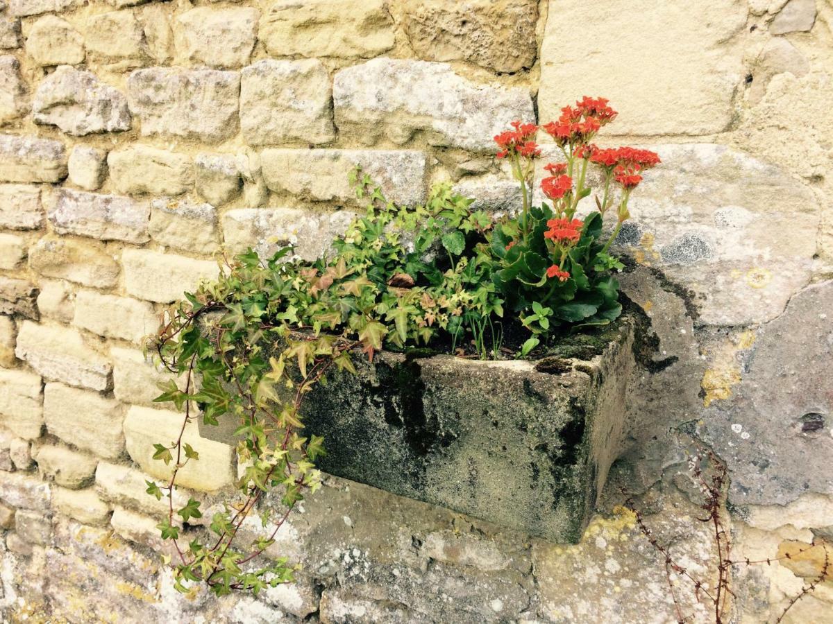 Le Manoir Des Doyens Bed and Breakfast Bayeux Exterior foto